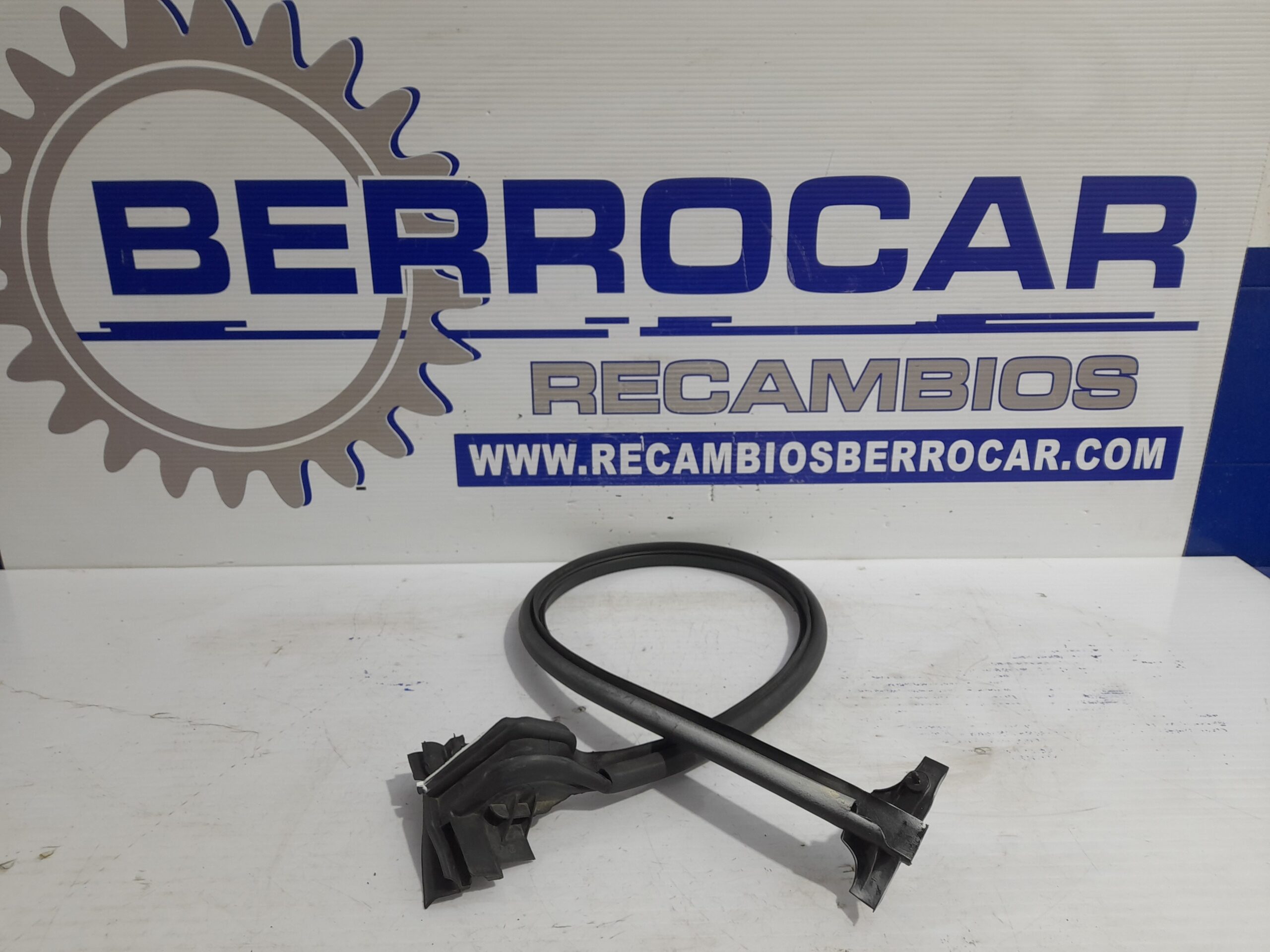 goma_contorno_98088113180_9808811380_peugeot_expert_furgon_1_6_blue_hdi_fap