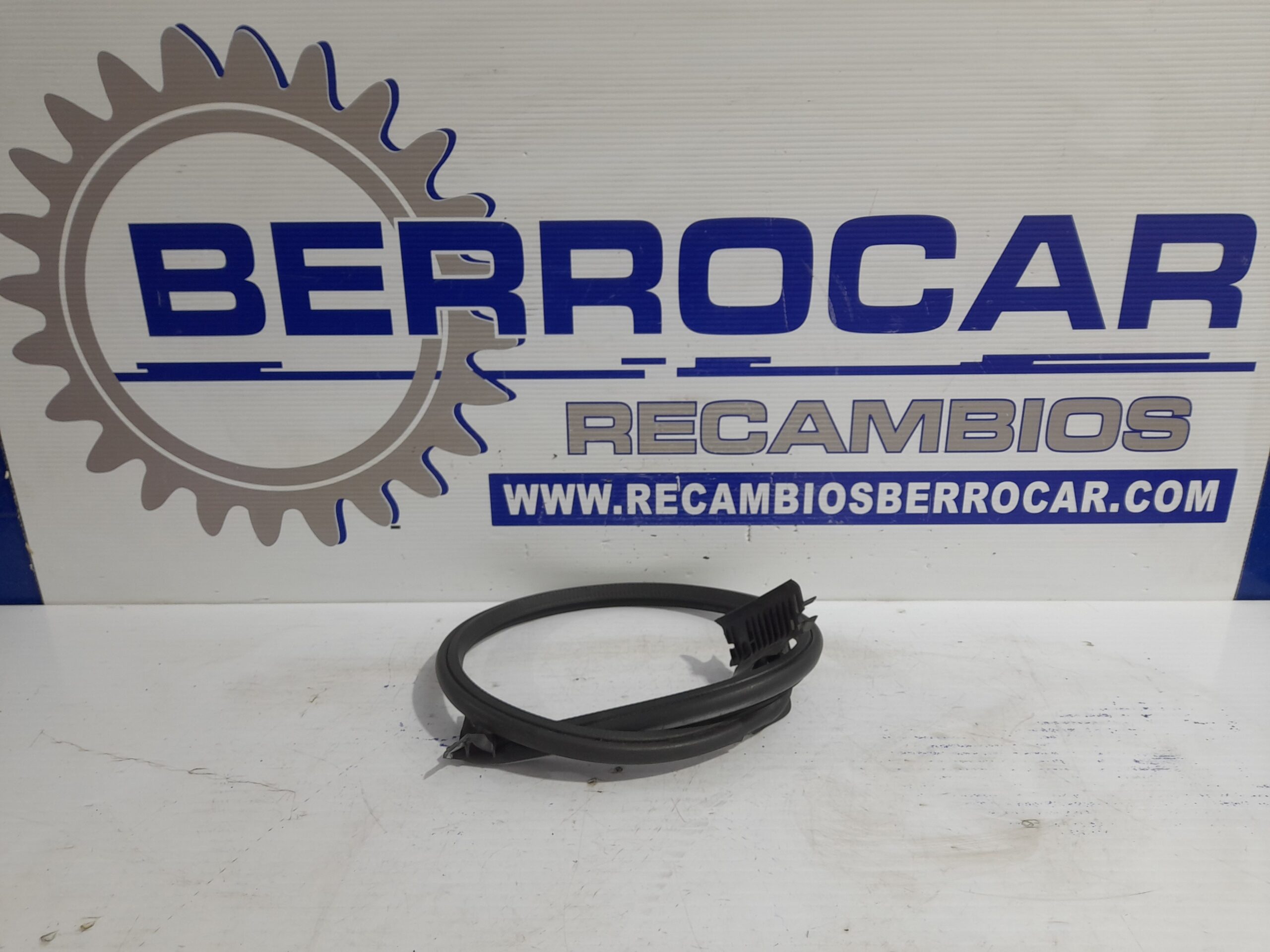 goma_contorno_98088113180_9808811380_peugeot_expert_furgon_1_6_blue_hdi_fap