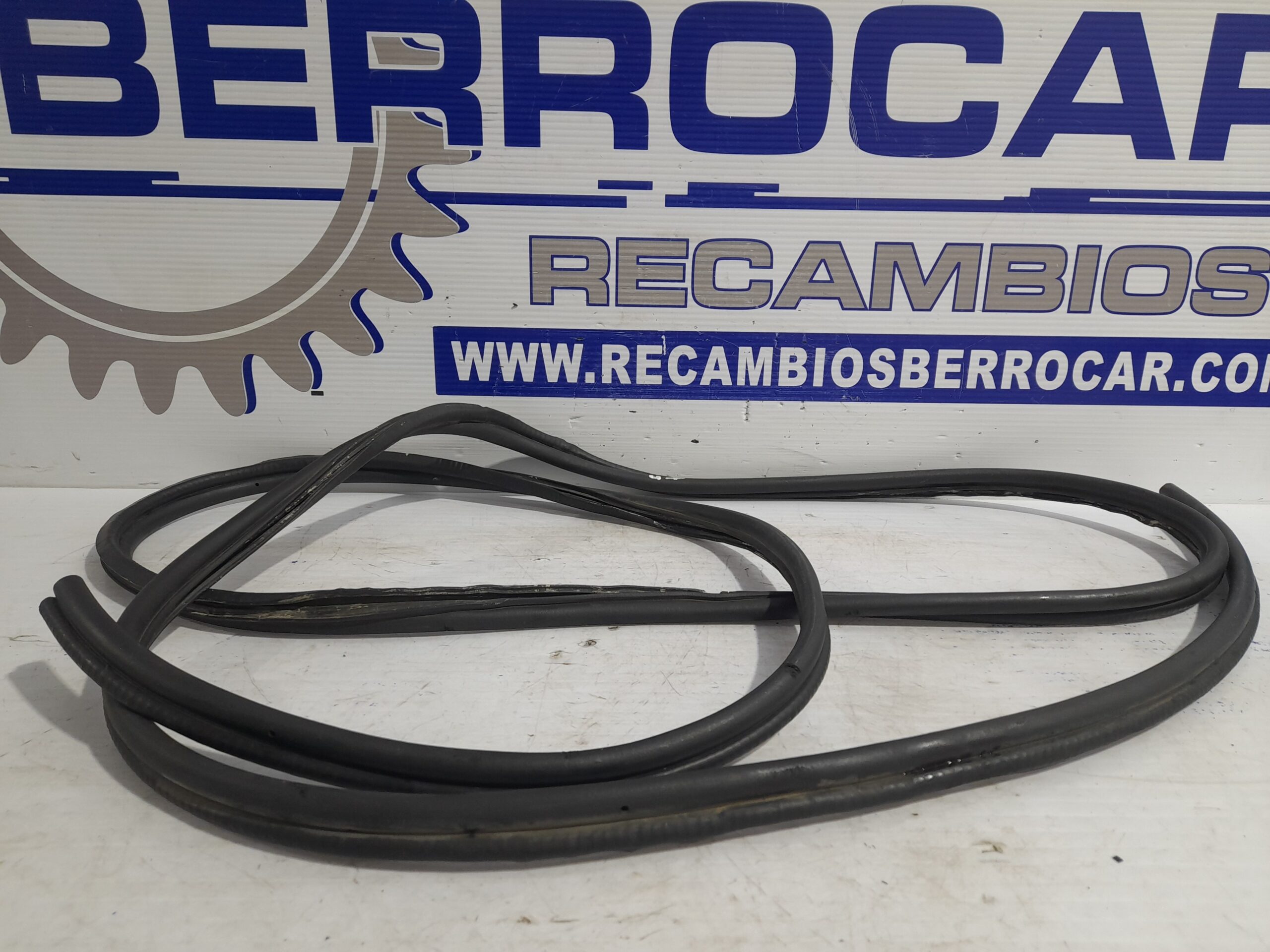 goma_contorno_9819625181_peugeot_expert_furgon_1_6_blue_hdi_fap