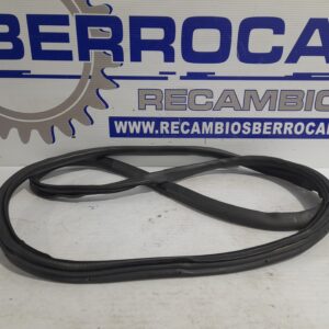 goma_contorno_98196225180_peugeot_expert_furgon_1_6_blue_hdi_fap