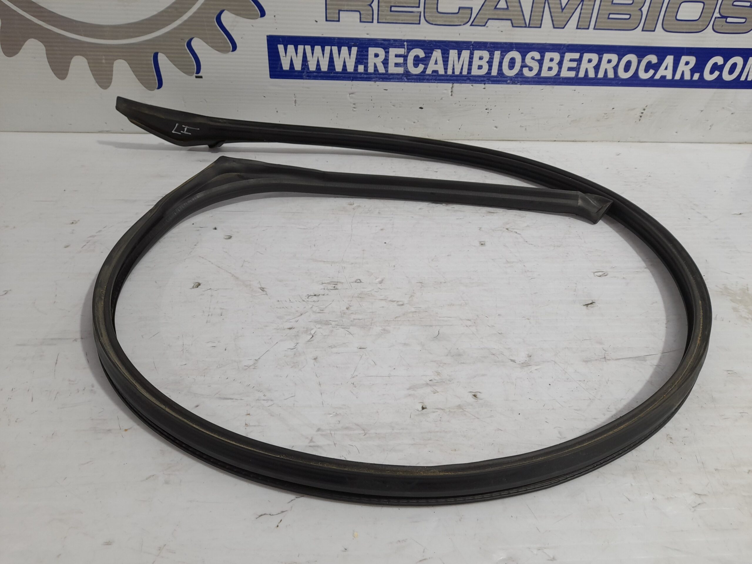 goma_contorno_556095800_renault_laguna_ii_bg0_1_9_dci_diesel_fap