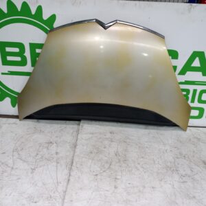 capot_7901n7_citr_n_c4_picasso_1_6_16v_hdi_fap