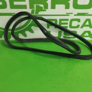 gomas_contorno_puerta_902485_citr_n_c4_picasso_1_6_16v_hdi_fap