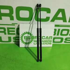 amortiguadores_maletero_porton_51247127875_bmw_serie_3_touring_e91_2_0_16v