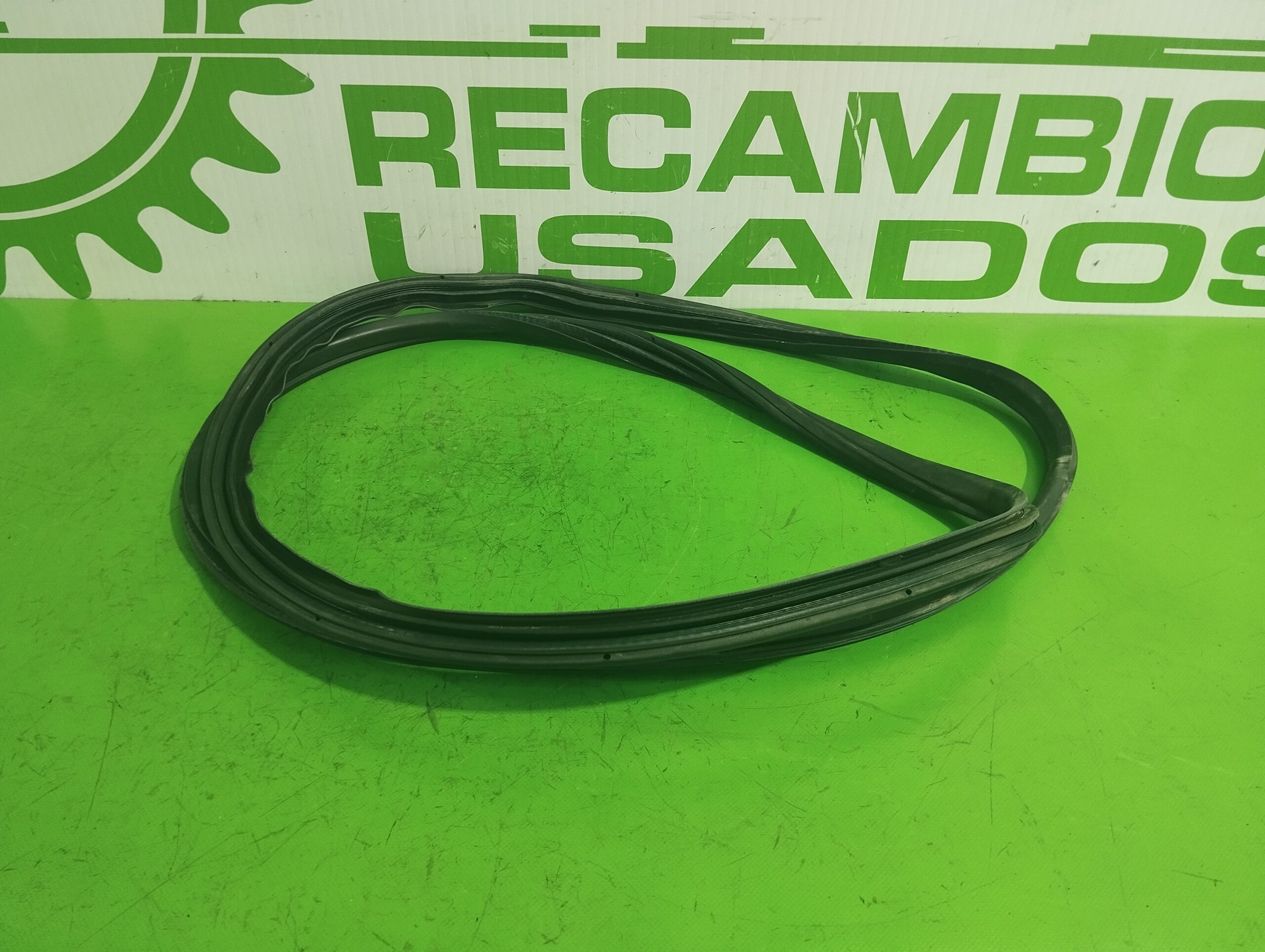 goma_contorno_51347007482_bmw_x3_e83_2_0_16v_diesel_cat