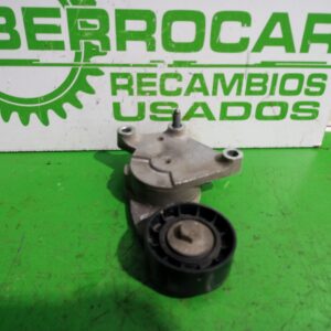 tensor_correa_auxiliar_846143_citr_n_c4_lim_business