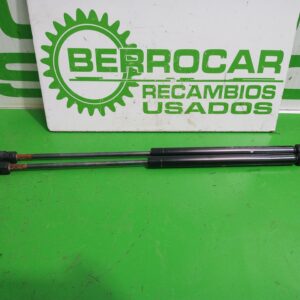 amortiguadores_maletero_porton_9800717780_citr_n_c4_lim_business