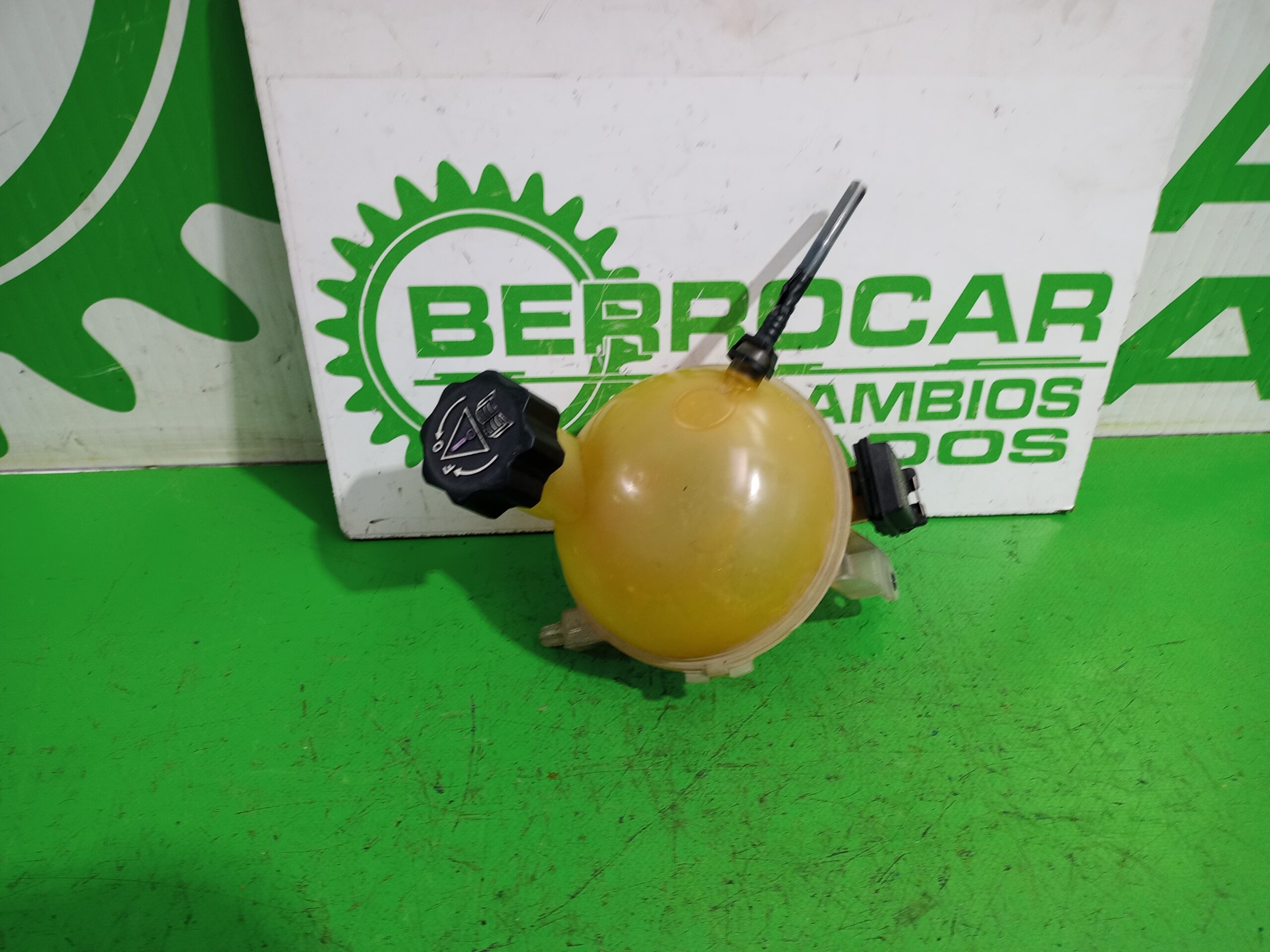 deposito_expansion_9646902580_peugeot_307_break_sw_s1_1_6_16v_cat