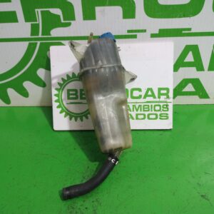 deposito_expansion_51706042_lancia_ypsilon_101_1_3_multijet_16v_argento_10_2006