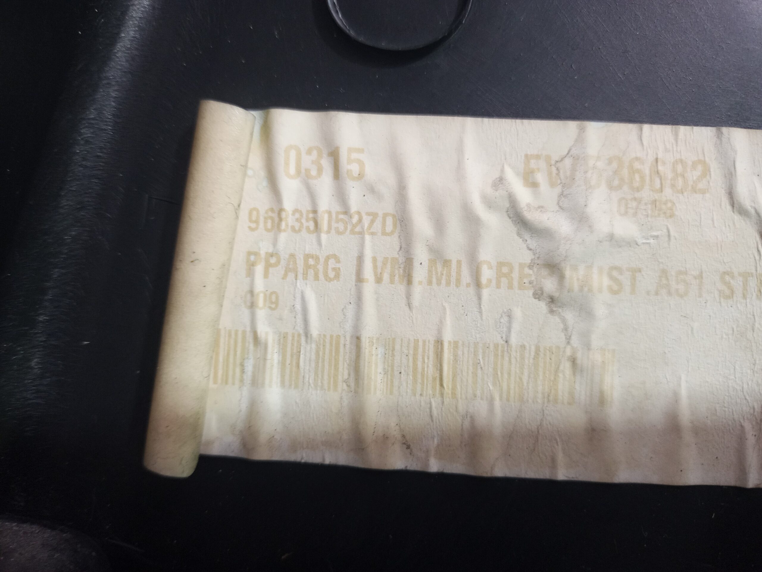 guarnecido_puerta_trasera_izquierda_96835052zd_citr_n_c3_exclusive