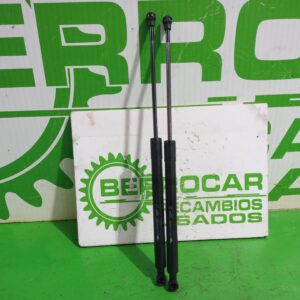 amortiguadores_maletero_porton_9683733980_citr_n_c3_exclusive