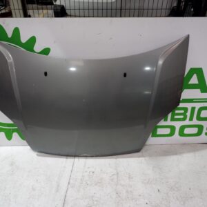 capot_1346646_ford_fiesta_cbk_fun