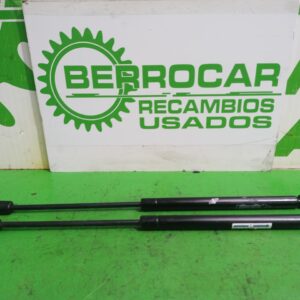 amortiguadores_maletero_porton_8731g3_citr_n_c3_1_4_hdi_sx