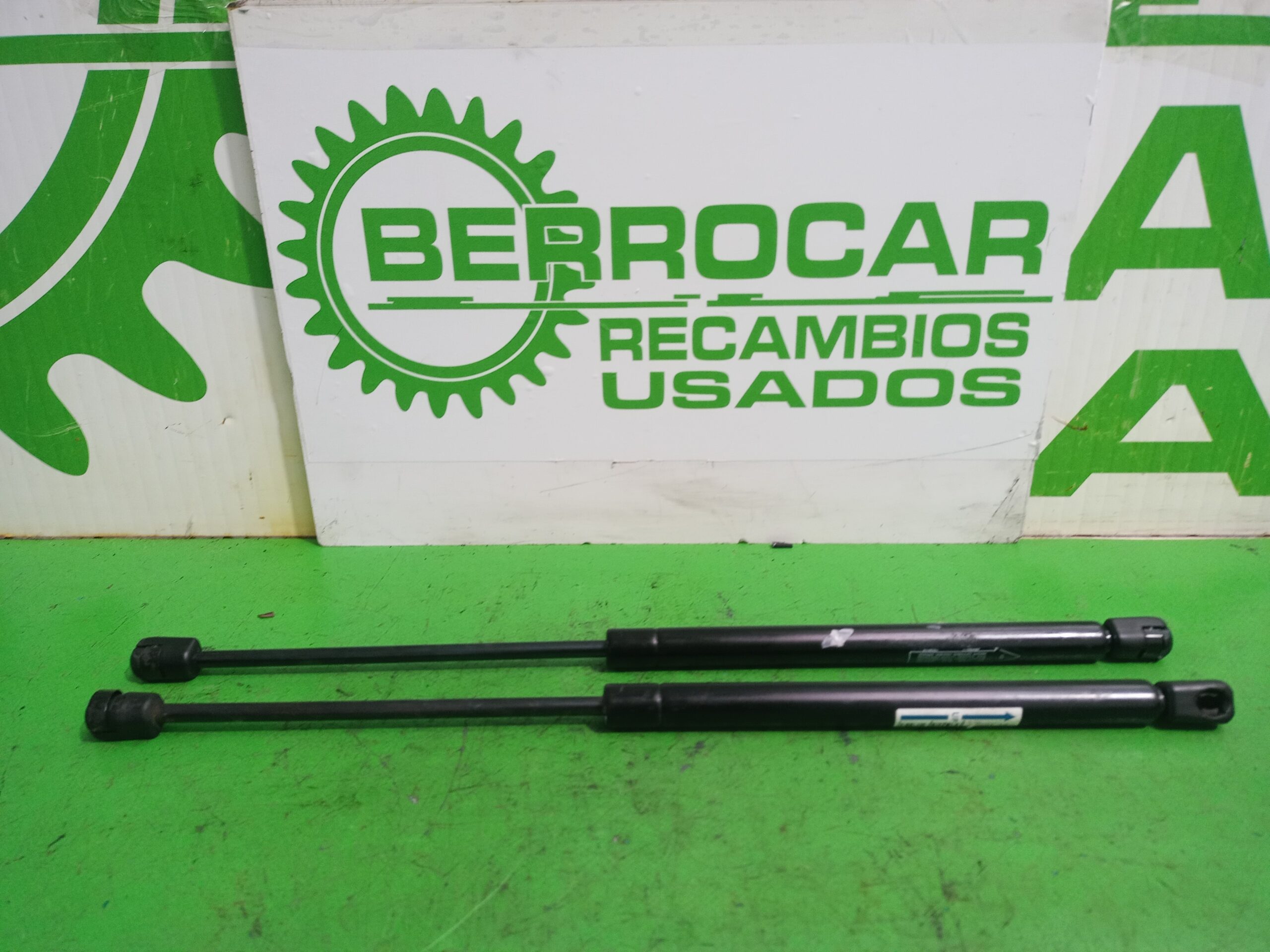 amortiguadores_maletero_porton_8731g3_citr_n_c3_1_4_hdi_sx