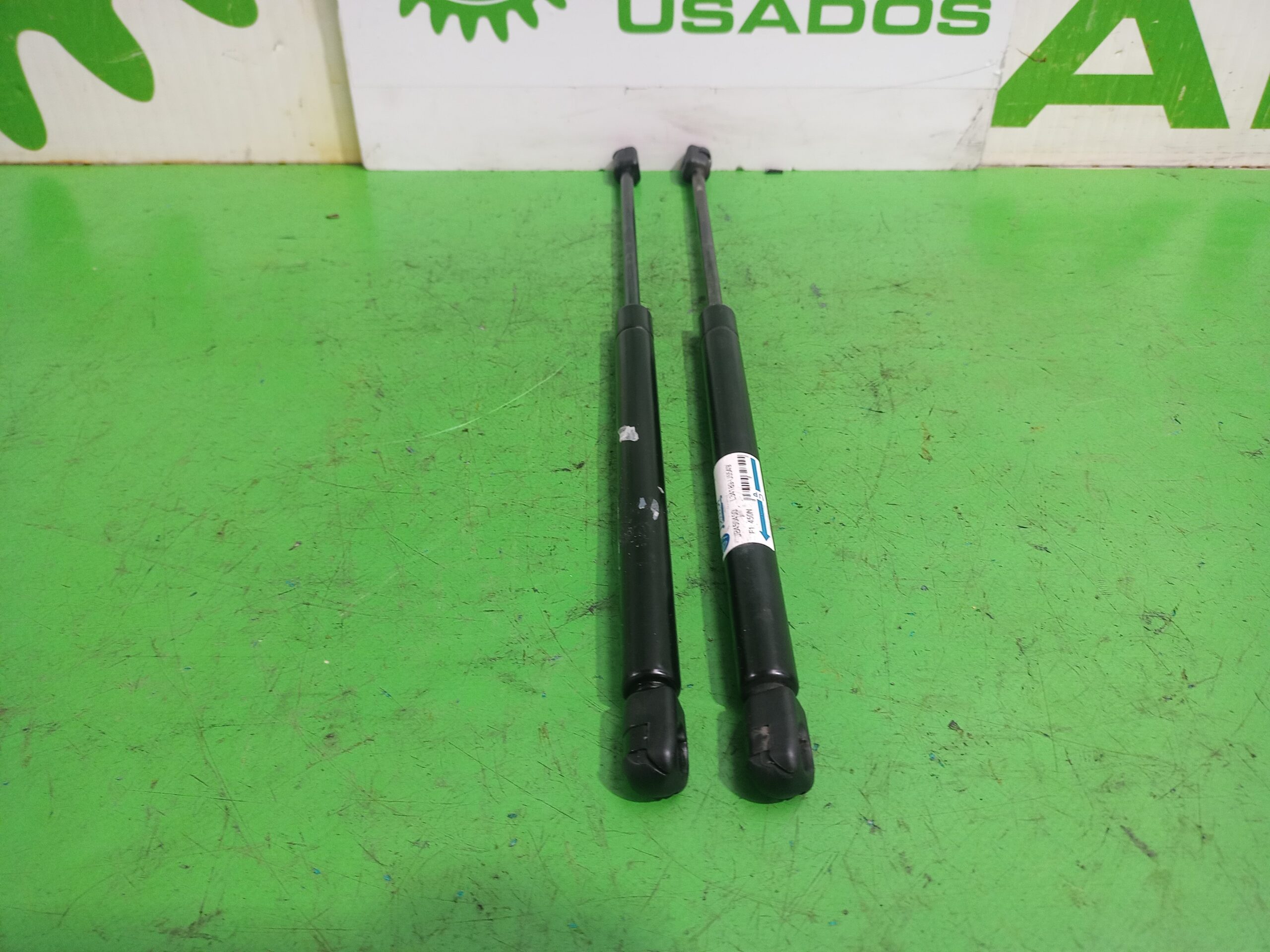 amortiguadores_maletero_porton_8731g3_citr_n_c3_1_4_hdi_sx