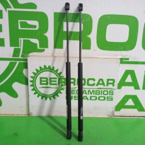 amortiguadores_capo_gn500550_peugeot_307_berlina_s2_1_6_16v_hdi