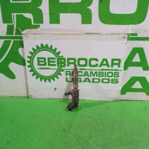 inyector_9950775440_peugeot_208_1_6_blue_hdi_fap