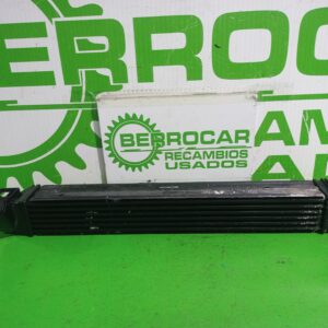 intercooler_144969107r_renault_scenic_iii_xmod_bose