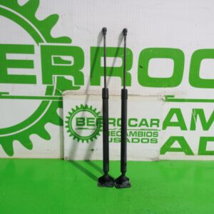 amortiguadores_maletero_porton_904500004r_renault_scenic_iii_xmod_bose