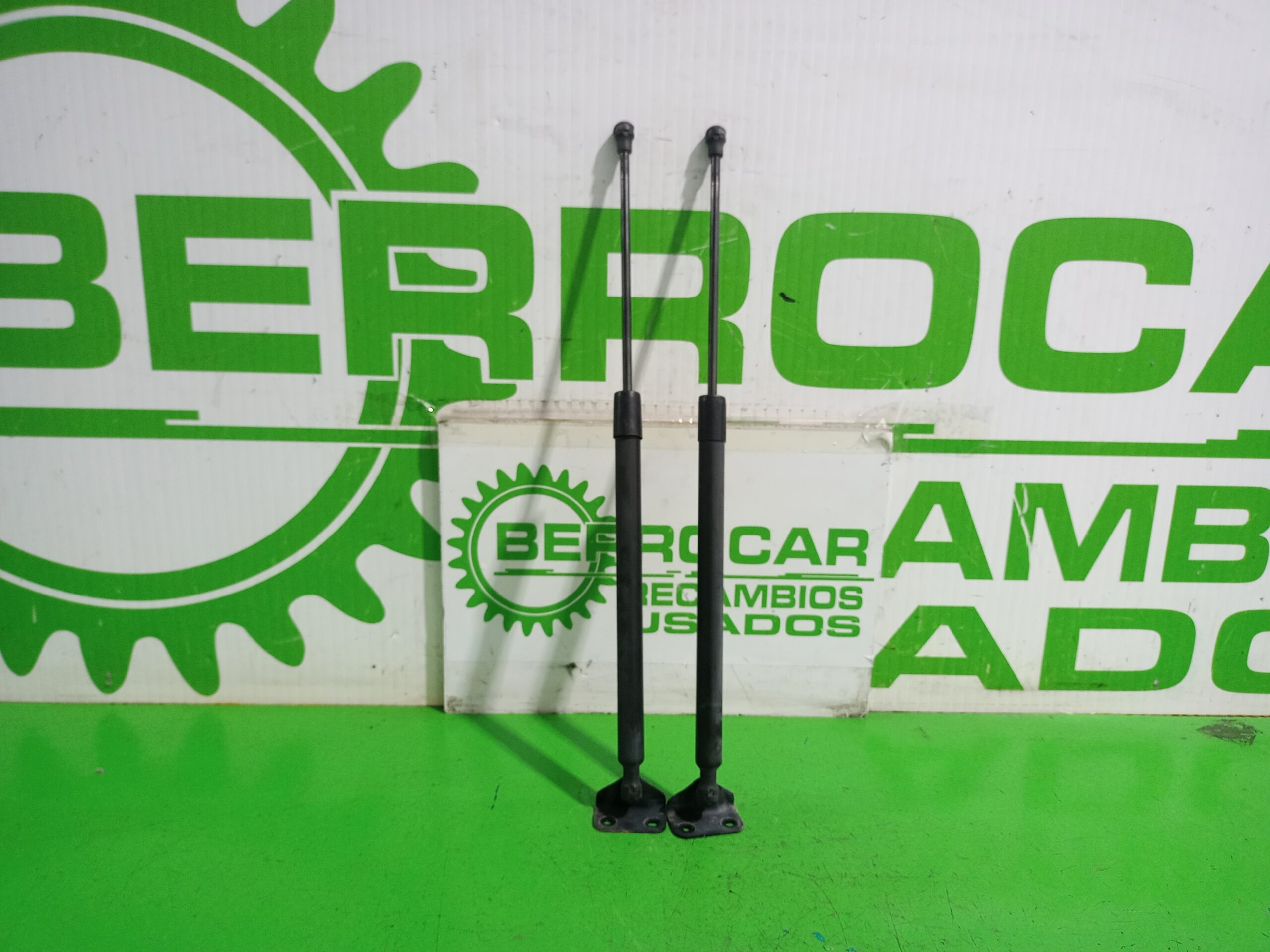 amortiguadores_maletero_porton_904500004r_renault_scenic_iii_xmod_bose