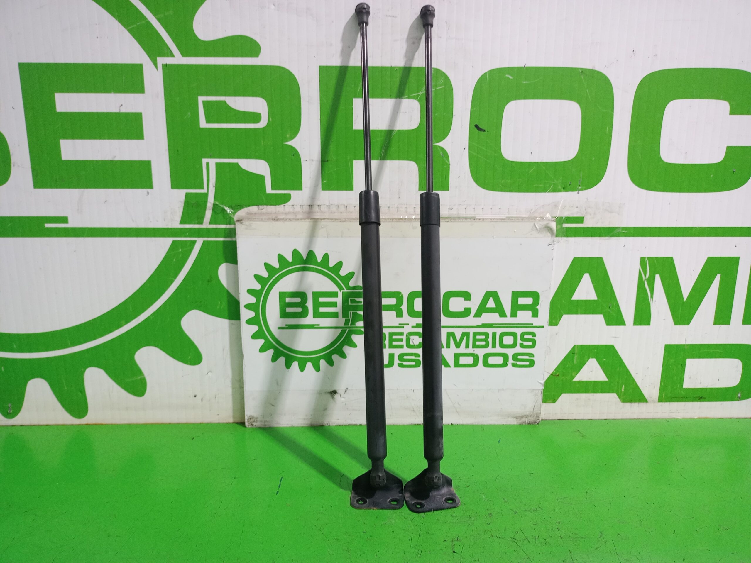 amortiguadores_maletero_porton_904500004r_renault_scenic_iii_xmod_bose