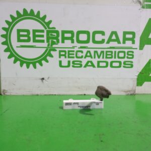 antena_285906352r_renault_scenic_iii_xmod_bose