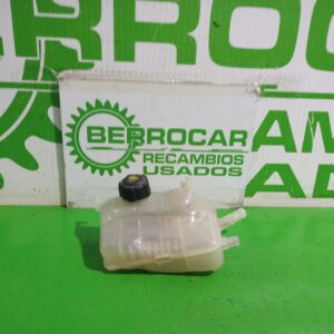 deposito_expansion_217100005r_renault_scenic_iii_xmod_bose