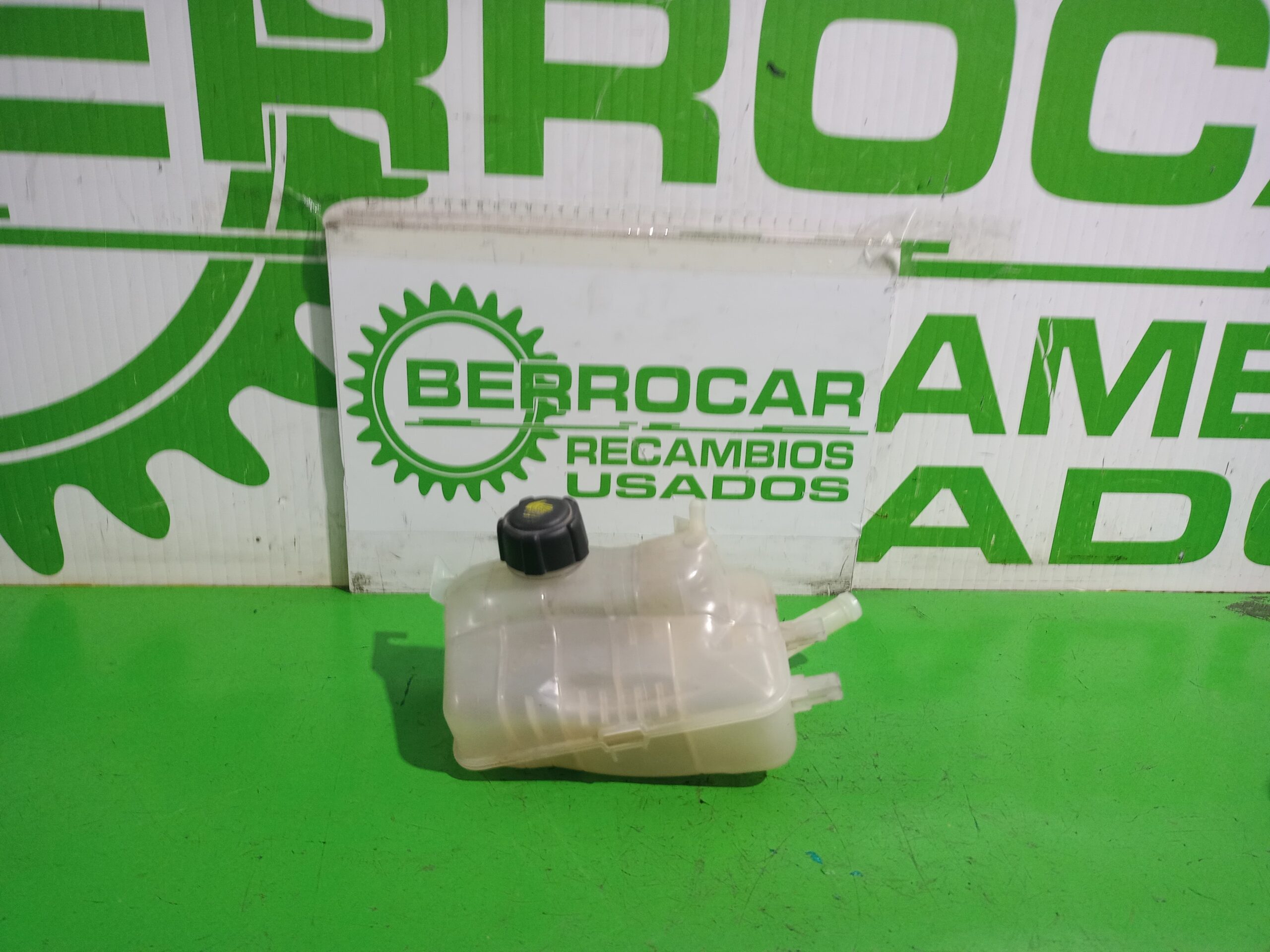 deposito_expansion_217100005r_renault_scenic_iii_xmod_bose