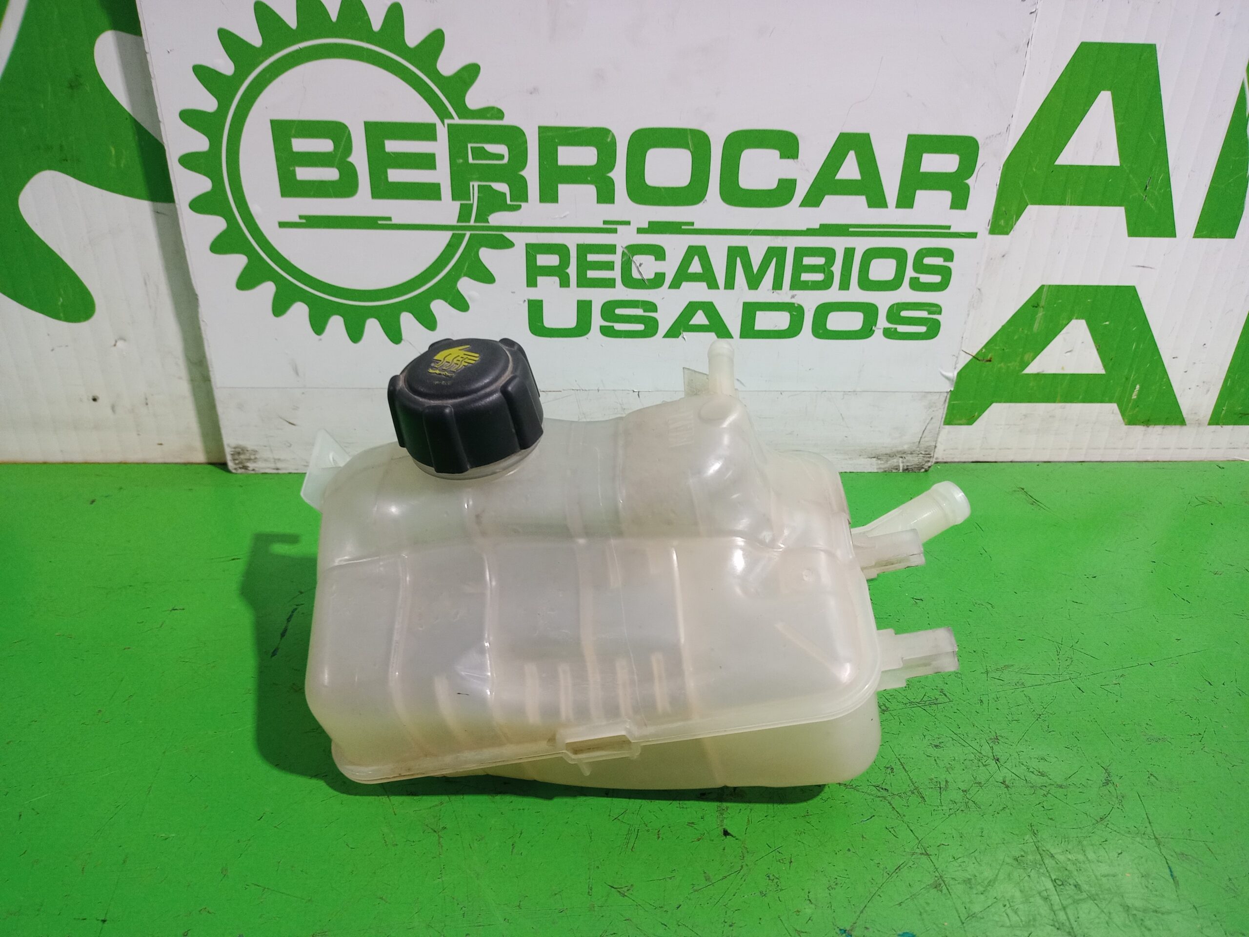 deposito_expansion_217100005r_renault_scenic_iii_xmod_bose