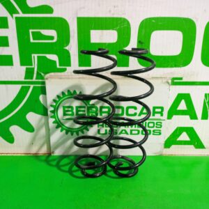 muelle_amortiguacion_5102ct_citr_n_c3_origins