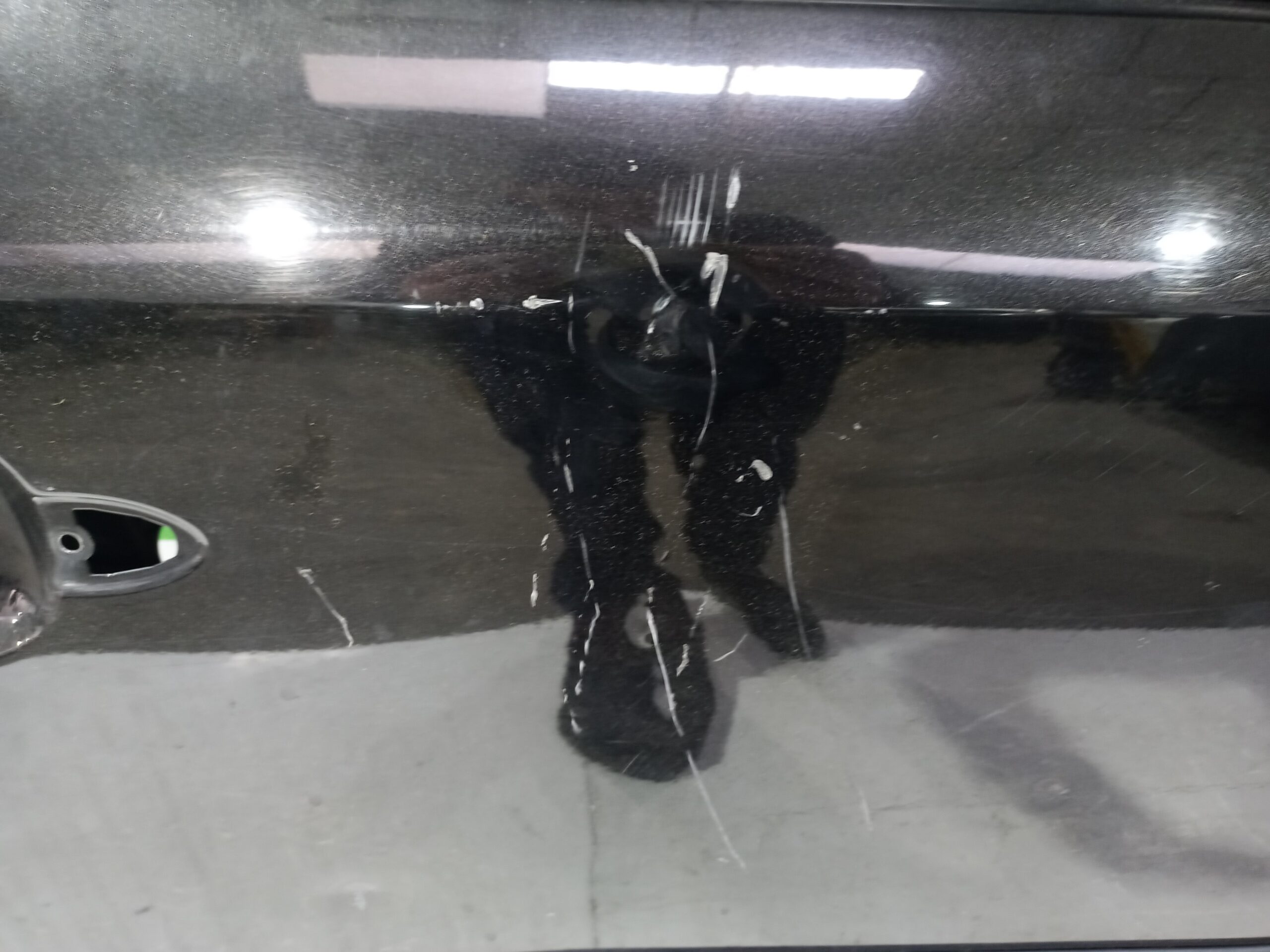 puerta_delantera_derecha_801004234r_renault_kangoo_profesional