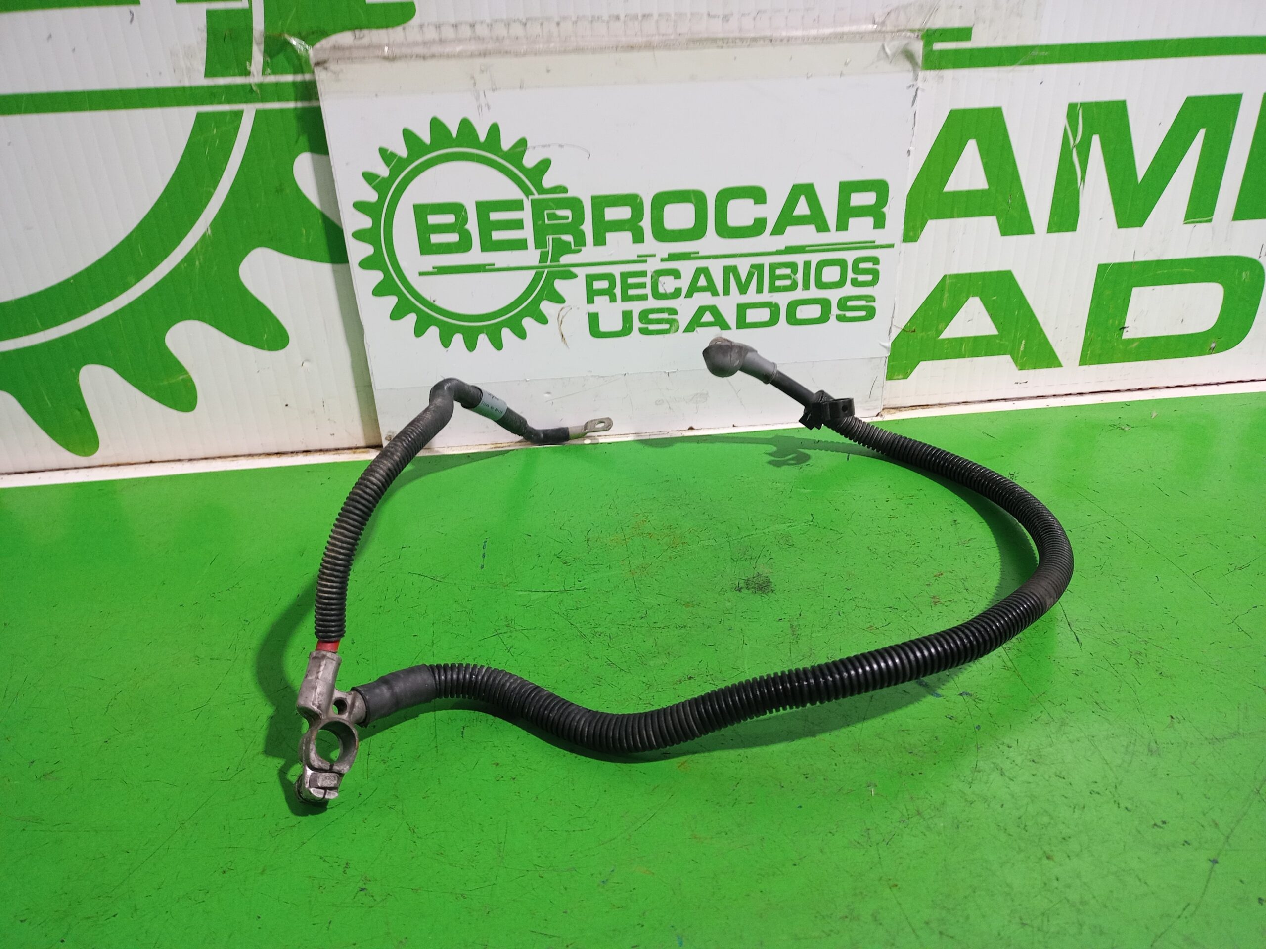 borna_postiva_yta101910_land_rover_freelander_ln_e_targa