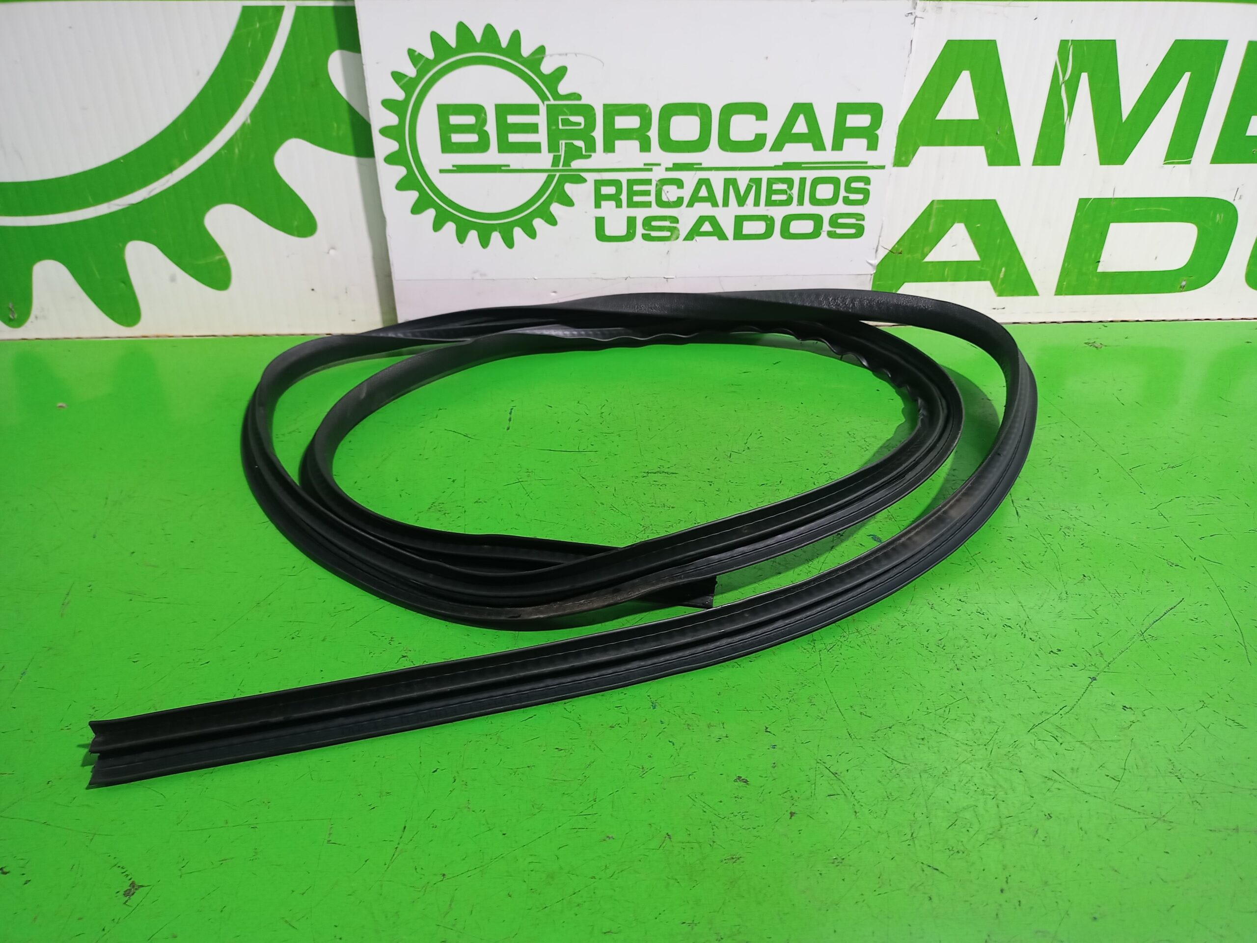 gomas_contorno_puerta_1349777_ford_fiesta_cbk_ambiente