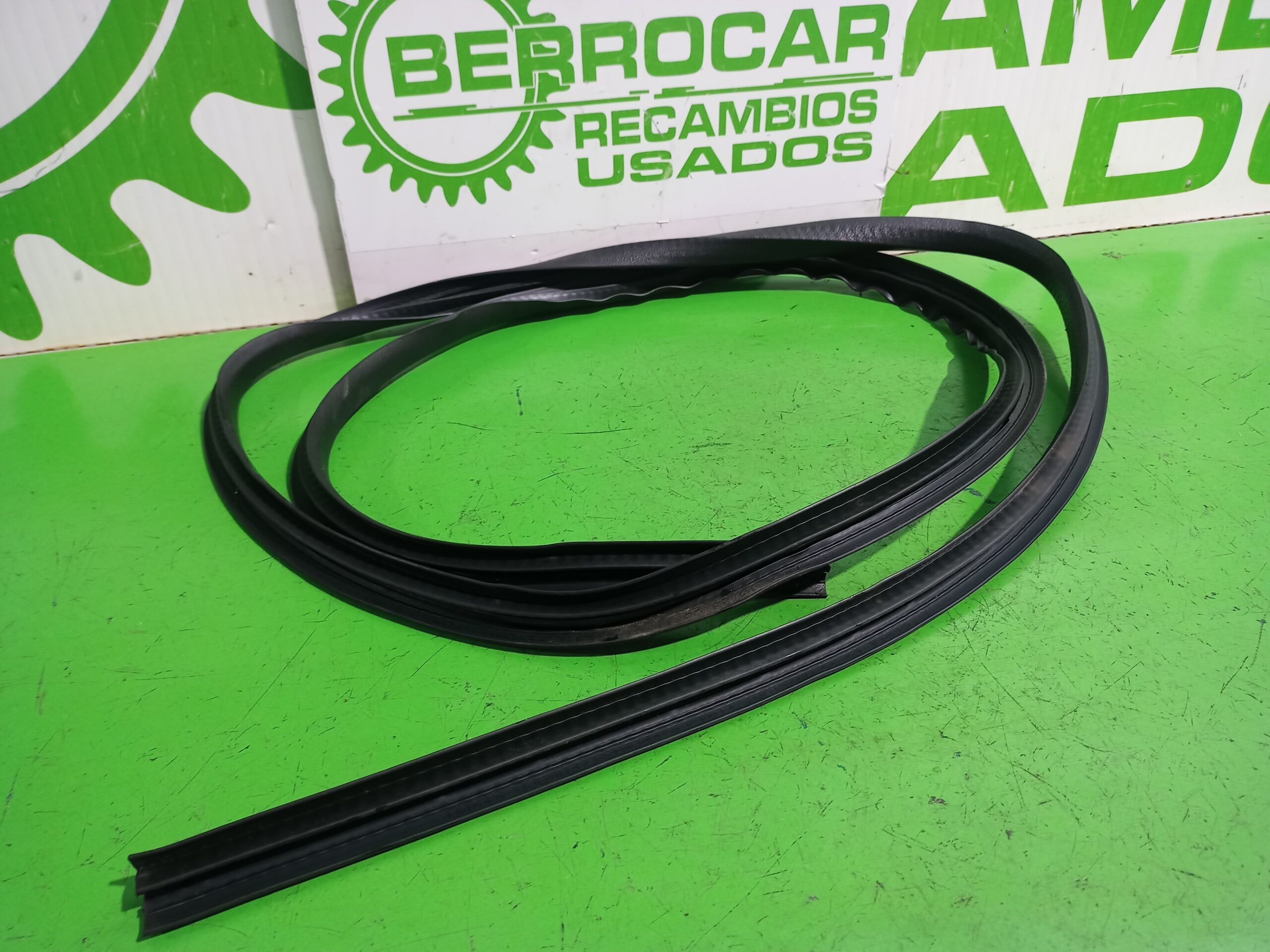 gomas_contorno_puerta_1349777_ford_fiesta_cbk_ambiente