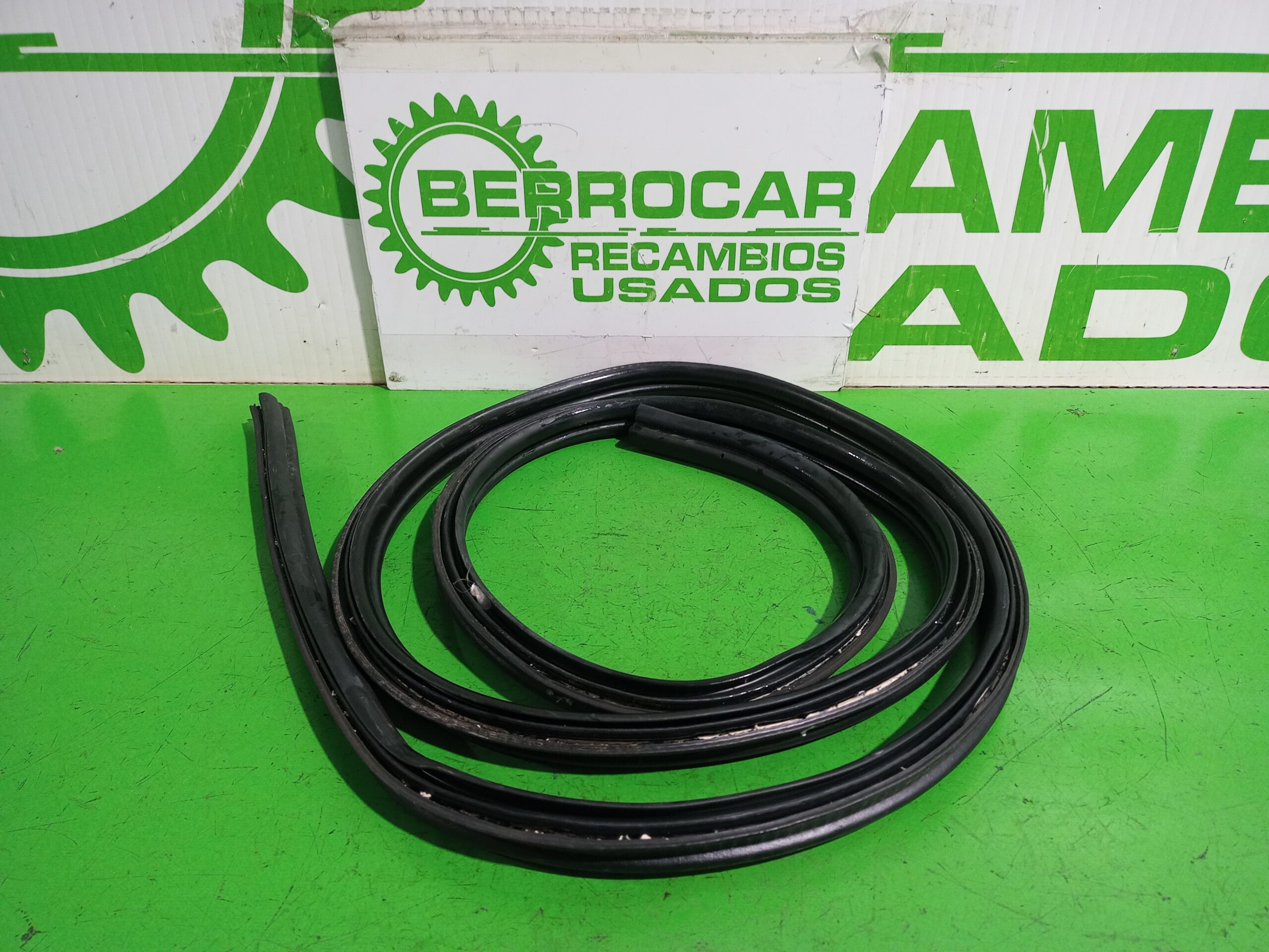 goma_contorno_1228434_ford_fiesta_cbk_ambiente