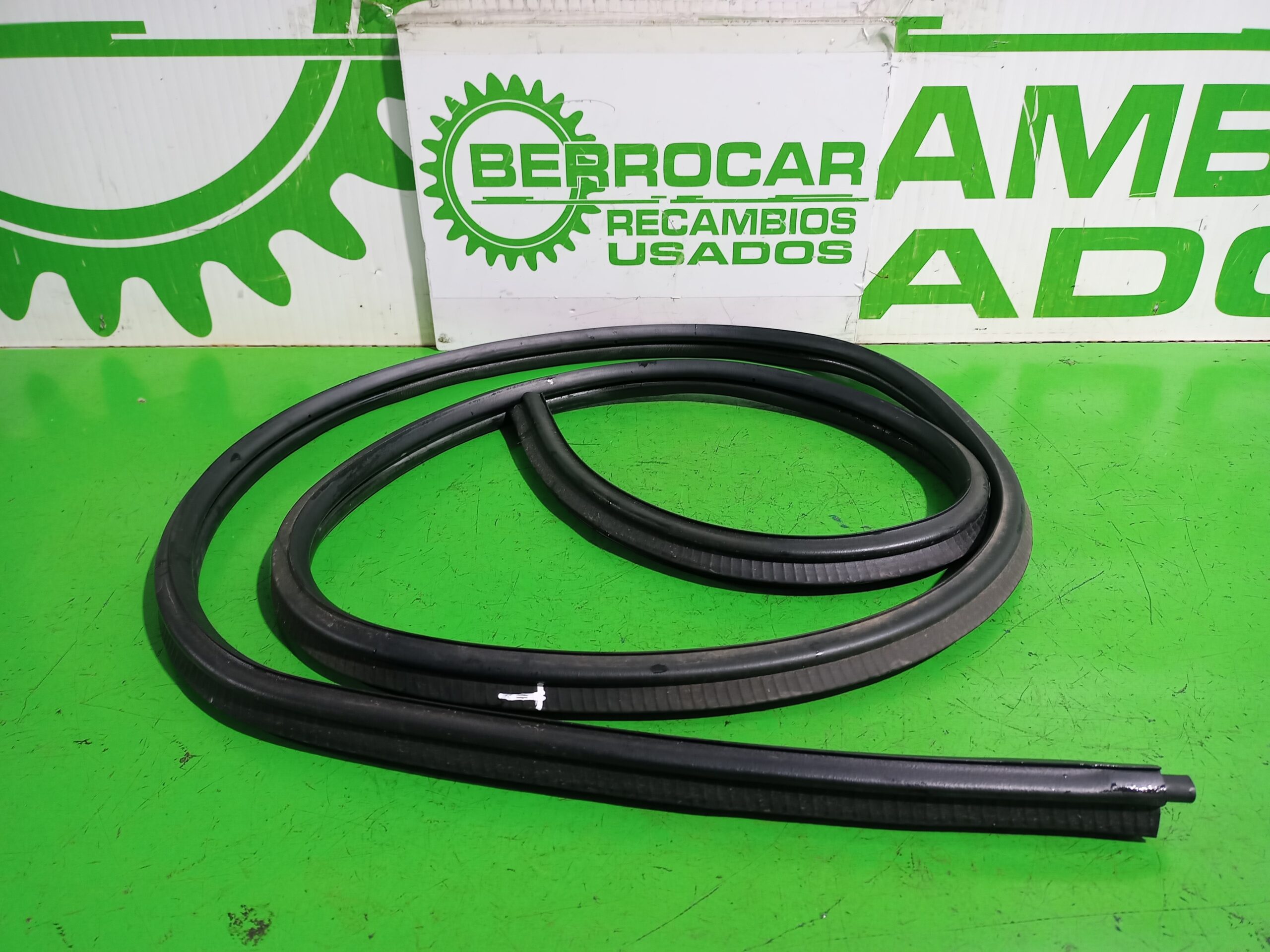 goma_contorno_1228434_ford_fiesta_cbk_ambiente