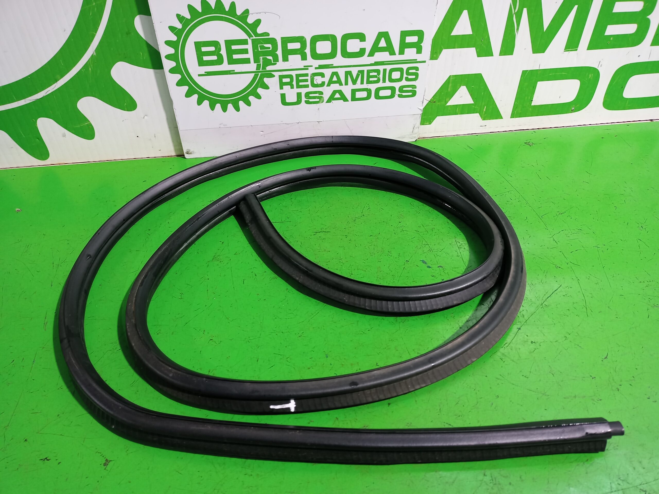 goma_contorno_1228434_ford_fiesta_cbk_ambiente