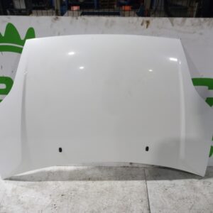 capot_1531070_ford_fiesta_cbk_ambiente