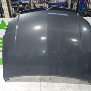 capot_7901l4_citr_n_c5_berlina_attraction