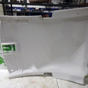 techo_interior_39027492_13477691_opel_corsa_e_expression