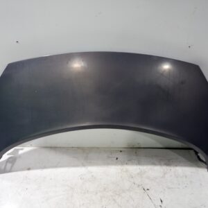 capot_651001097r_renault_scenic_ii_au_entique