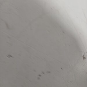 enganche_cinturon_trasero_derecho_8974l5_peugeot_407_6d_1_6_hdi_110_6d9hzc_6d9hyc