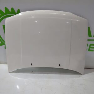 capot_1h6823031a_volkswagen_golf_v_1k1_2_0_fsi