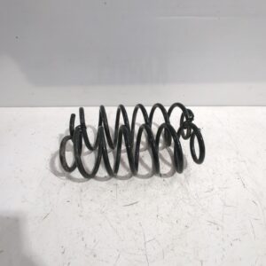 muelle_amortiguacion_5002hl_citr_n_c1_pm_pn_1_4_hdi