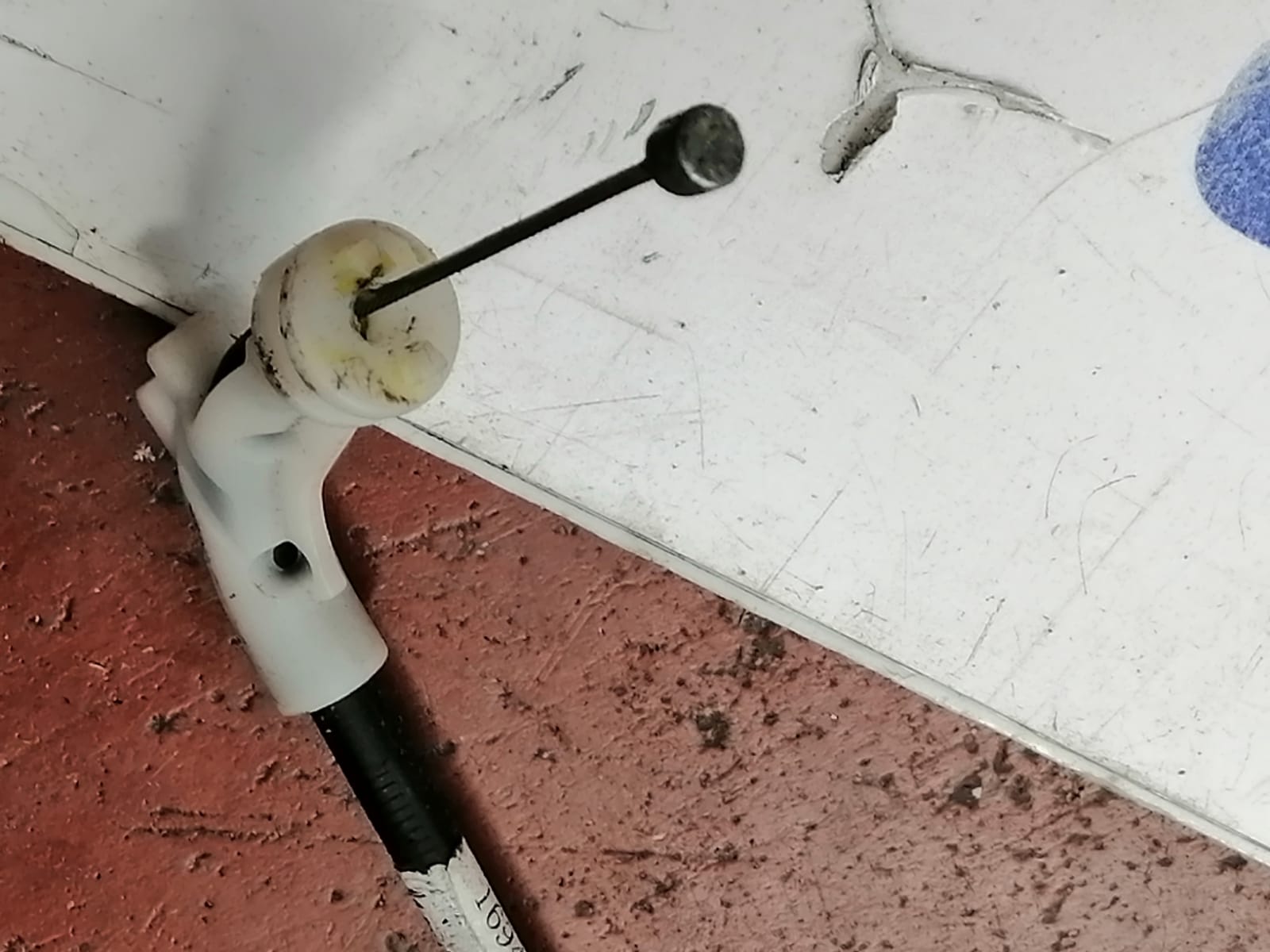 cableado_puerta_9809543980_peugeot_expert_furgon_1_6_blue_hdi_fap